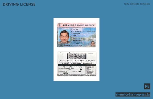 Beispiel für einen Führerschein aus Bermuda